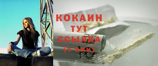 твердый Нягань