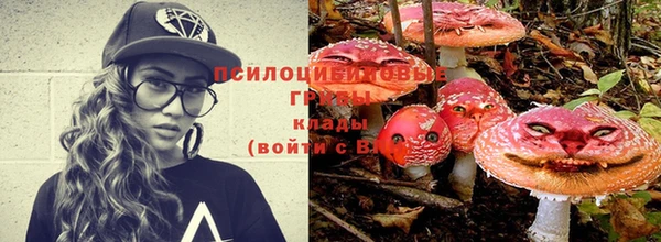 твердый Нягань