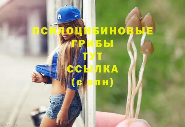 дурь Алагир