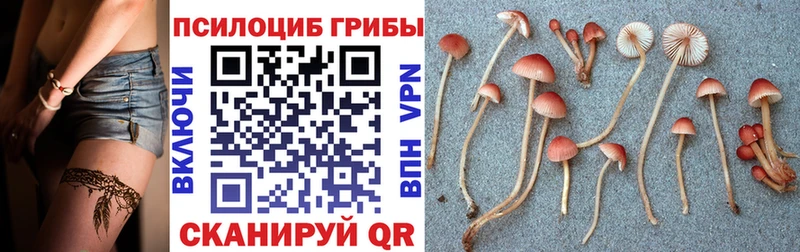 Псилоцибиновые грибы ЛСД  Тбилисская 