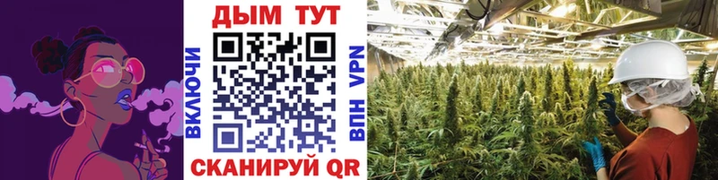 Бошки Шишки THC 21% Тбилисская